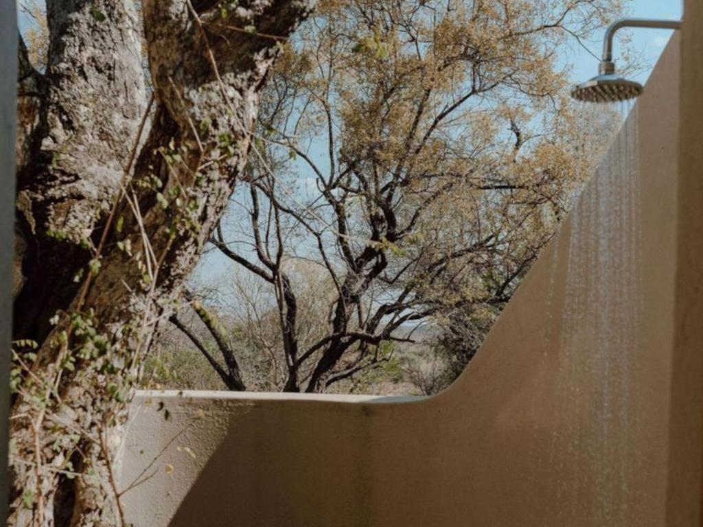 Nyala Safari Lodge Hoedspruit Zewnętrze zdjęcie