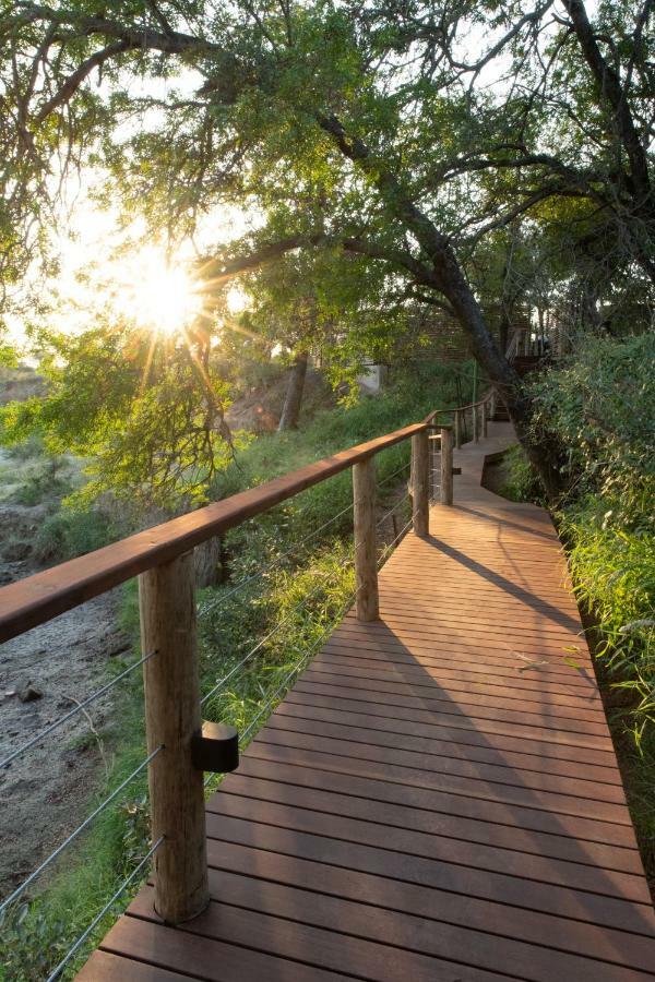 Nyala Safari Lodge Hoedspruit Zewnętrze zdjęcie